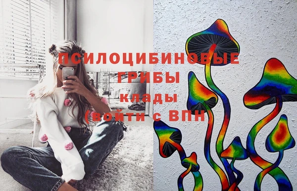 дживик Алексеевка