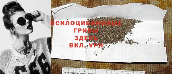 дживик Алексеевка